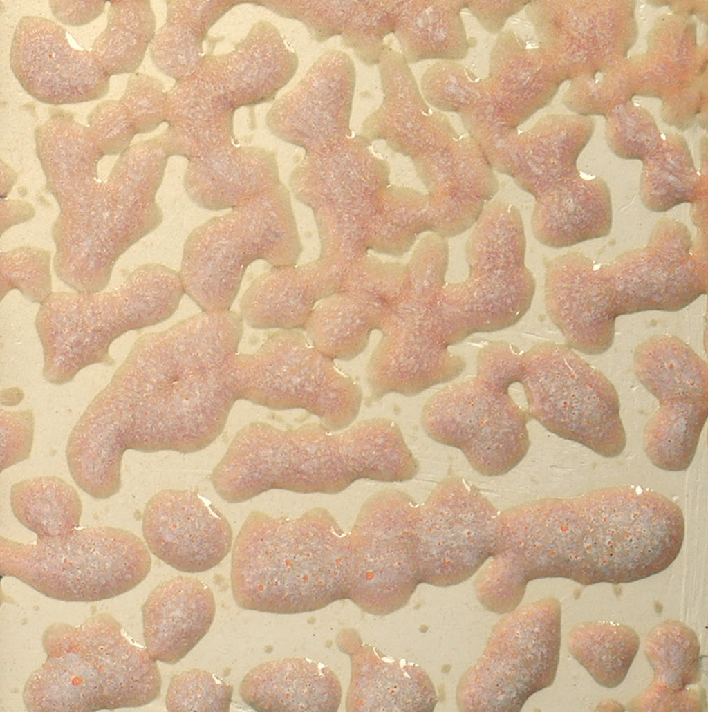 CR-17 Flux Crawl Pint