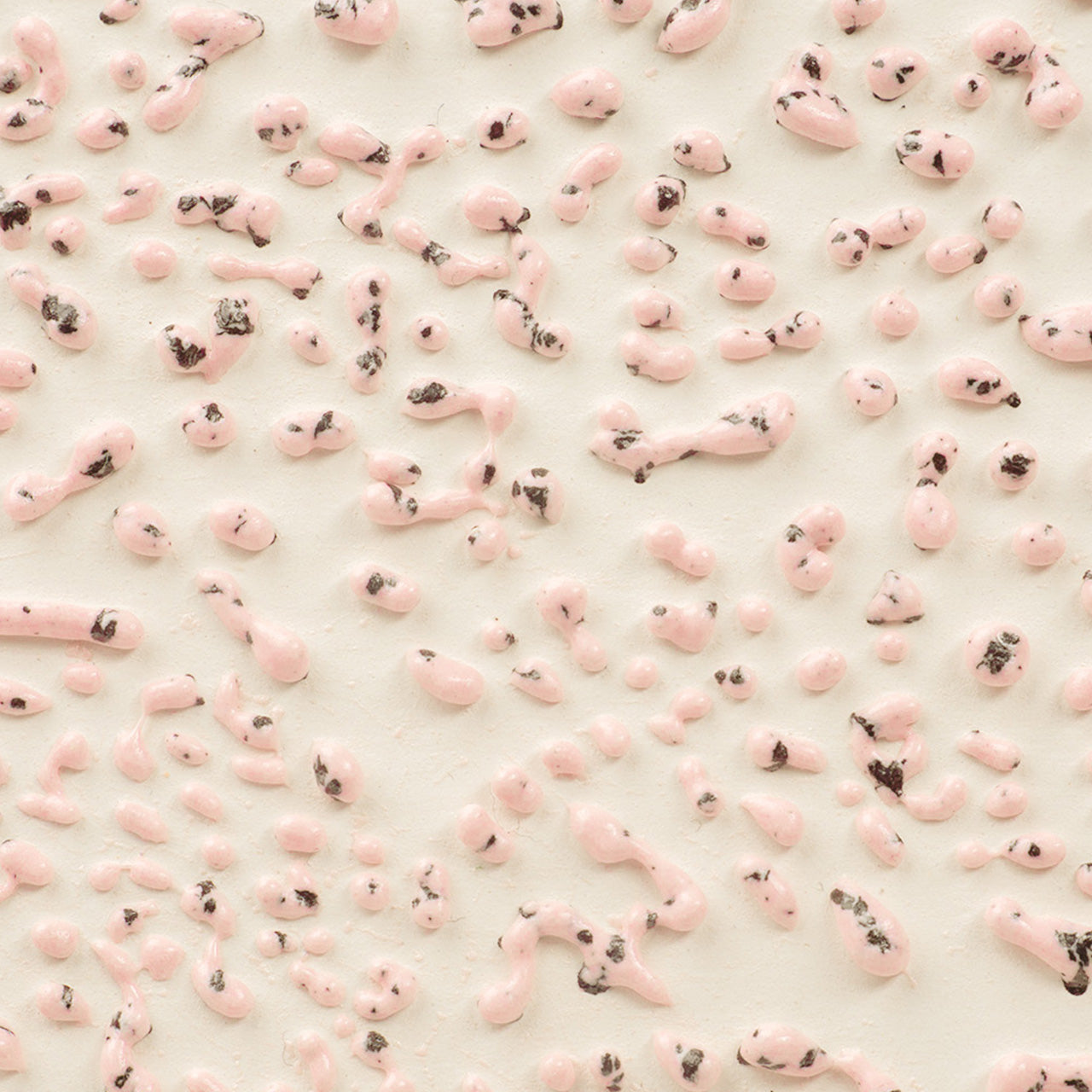CR-51 Speckled Pink Pint
