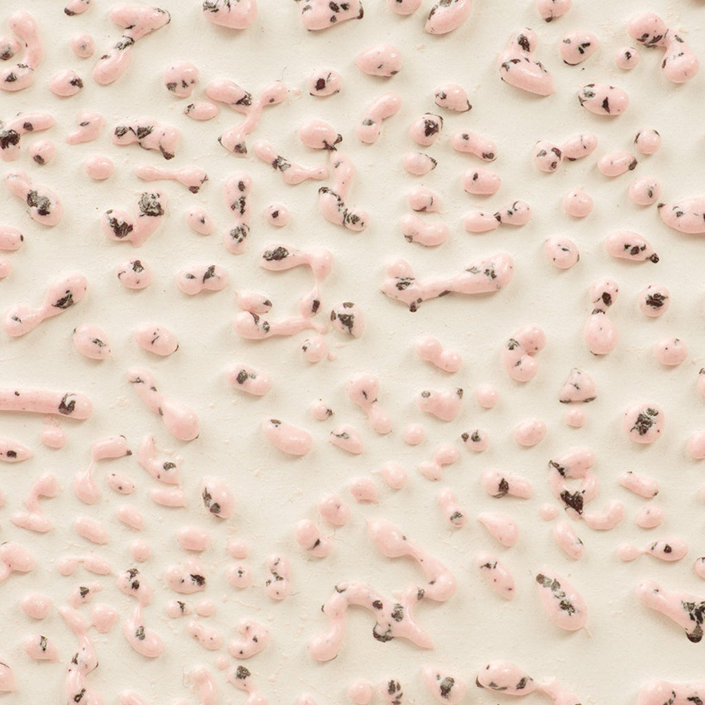 CR-51 Speckled Pink Pint