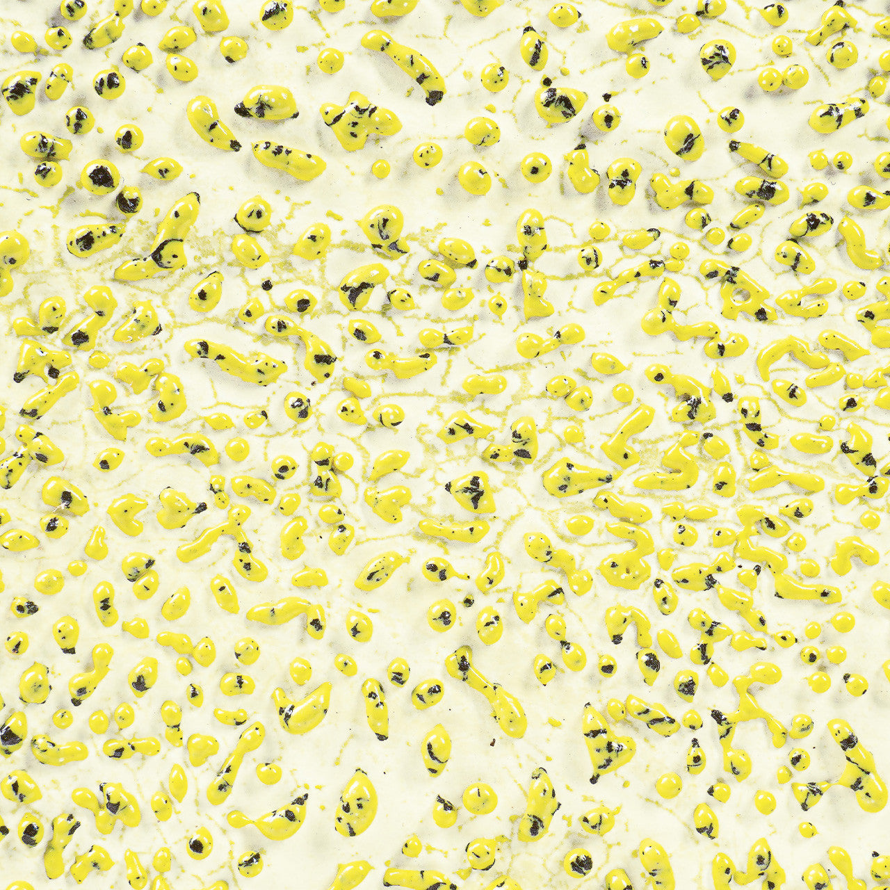 CR-61 Speckled Yellow Pint