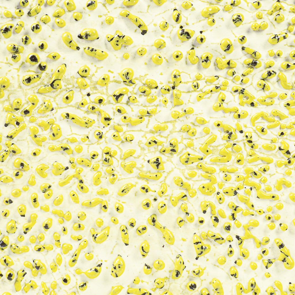 CR-61 Speckled Yellow Pint