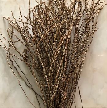 Palm Inflorescence  -- 10 Strand Bundle