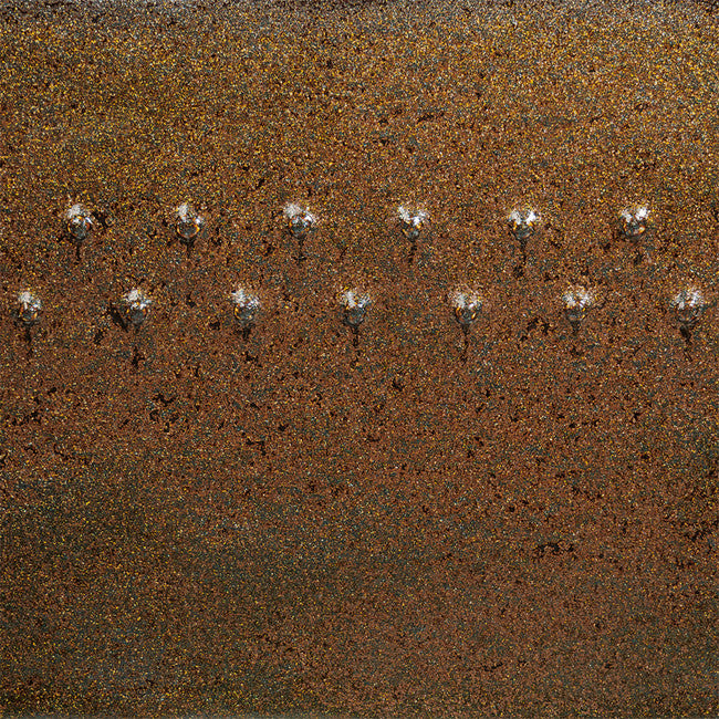 PC-69 Cosmic Gold Dust Pint