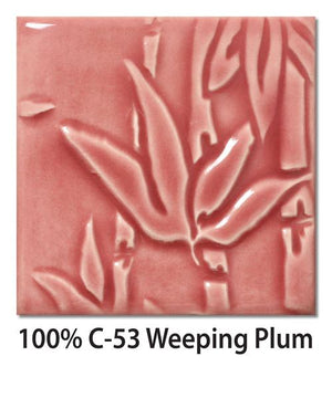 C-53 Weeping Plum Pint