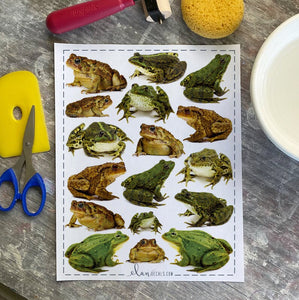 Toads Overglaze Decal Sheet