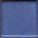 COY191 Blue Cornflower,PT