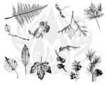 DSS0111 Botanical-Leaves Silkscreen