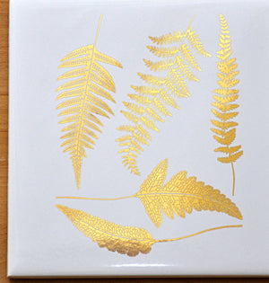 Ferns Decal