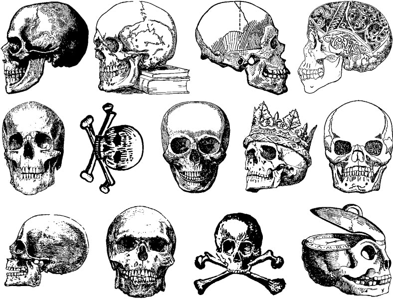 Vintage Skull Decals