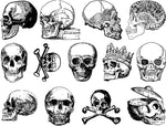 Vintage Skull Decals