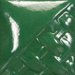 SW509 Dark Green Gloss Pint